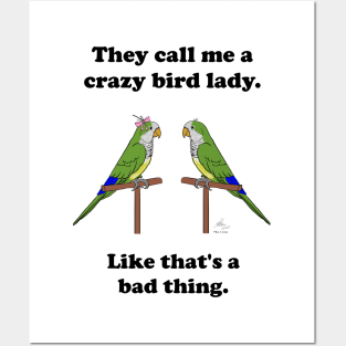 Crazy Bird Lady with Quaker Parrots Posters and Art